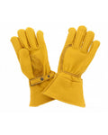 Double CE Gloves in Gold - Kytone