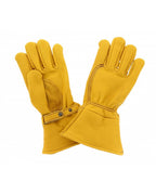 Double CE Gloves in Gold - Kytone